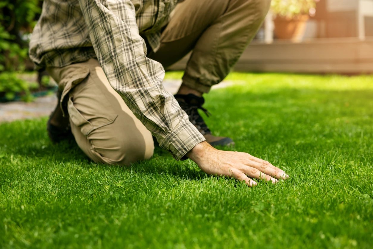 Blue Crab Turf and Landscape LLC